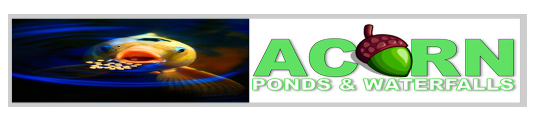  Pond /Water Feature Maintenance, Cleaning & Repair Services By Acorn - 585-442-6373