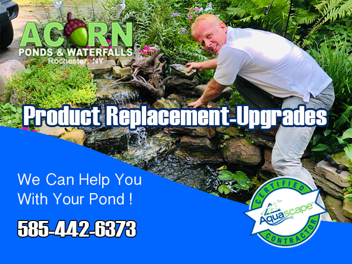 Koi Pond & Waterfall Liner Replacement/Leak Repair Services In Western (NY) - Acorn 